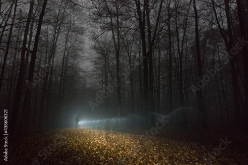 Shadow of man walking on path through foggy winter night forest