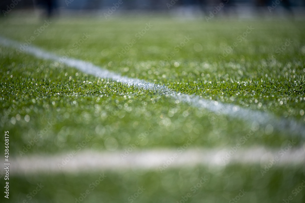 Soccer field for championship.The marking of the football field on the