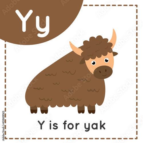 Animal alphabet flashcard for children. Learning letter Y. Y is for yak.