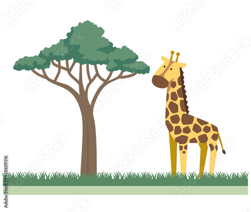 キリンとアカシアの木のイラスト素材