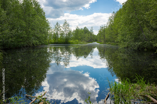 Fototapeta Naklejka Na Ścianę i Meble -  Swamps. Belarusian swamps are the lungs of Europe. Ecological reserve Yelnya.