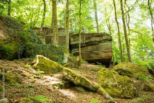 Photography Magical hiking trail through the rhineland palatinate forest  with granite boulders lying on the forest floor