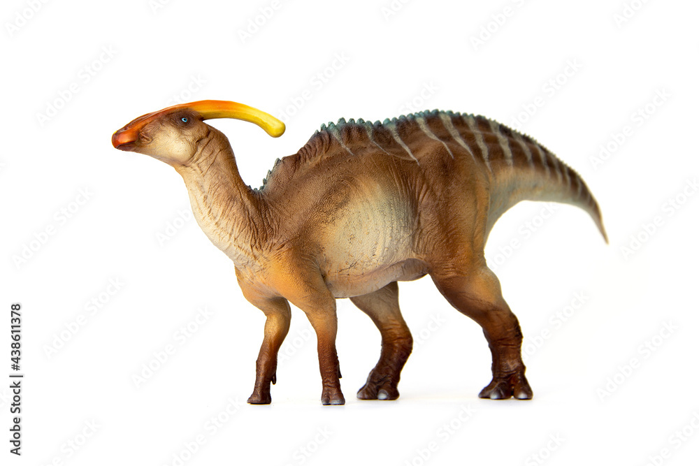 Fototapeta premium Parasaurolophus Living dinosaur In Late Cretaceous. Dinosaur herbivores have crest on their heads. isolated on white background.