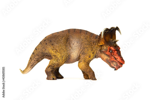 Pachyrhinosaurus herbivores dinosaur living in Late Cretaceous. isolated on white background. © Panupong