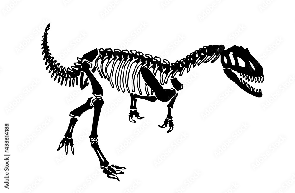 Graphical skeleton of raptor isolated on white, fossils element Stock ...