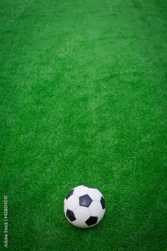 European Football, Soccer ball on green grass © sergiophoto