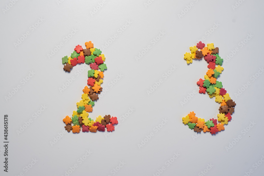 Numeral twenty three from sweet pastry topping in the form of colorful foliage on a white background.