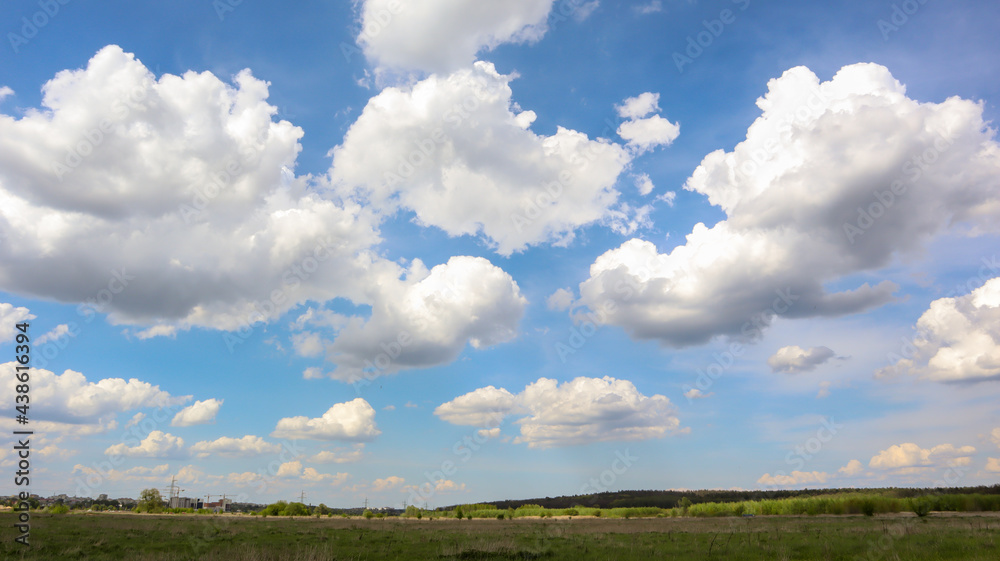 A field with a clear blue sky filled with white clouds in the background in bright sunny summer weather without wind or rain.
