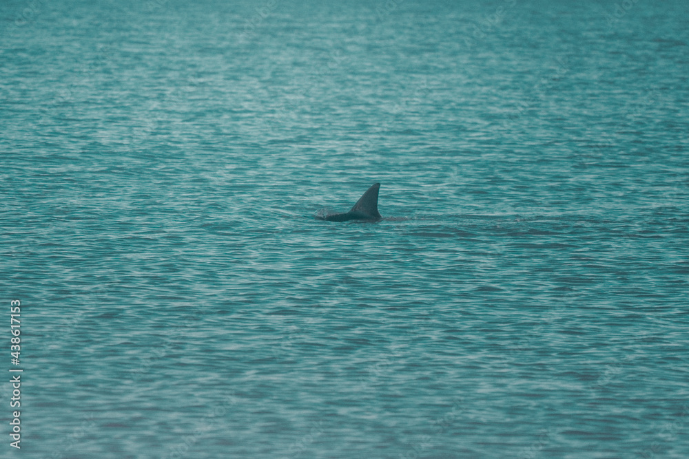 Fototapeta premium AUSTRALIA