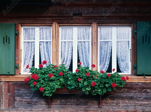 wooden house  window  flower decoration  switzerland  bernese oberland