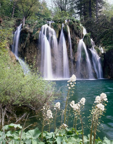 croatia  plitvice lakes  waterfall  nature  landscape  vegetation  water bodies  waterfalls  plants  national park  sight  plitvicka jezera  