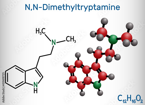 N,N-Dimethyltryptamine, dimethyltryptamine, DMT molecule. It is tryptamine alkaloid, indoleamine derivative, serotonergic hallucinogen. Structural chemical formula, molecule model. photo