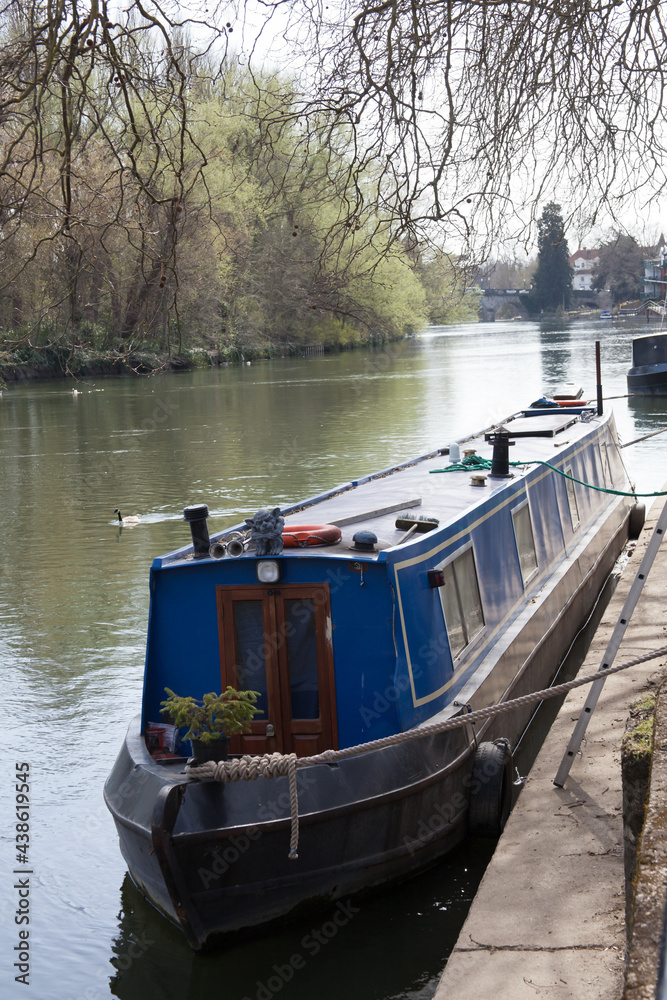 Fototapeta premium A narrowboat moored along the Thames River in Maidenhead in the UK