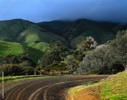 new zealand, north island, coromandel, peninsula, fletcher bay, landscape, nature, hilly landscape, fog, road, gravel road, hills, mist, weather, vegetation, clouds,  photo