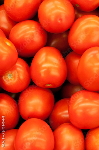 Red tomatoes. Close-up background image. Illustration for the harvest season, themed vegetables, food, vegetable markets.