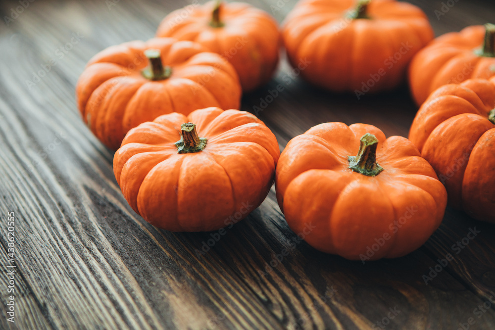 Obraz premium Autumn composition of miniature decorative pumpkins on a wooden table.