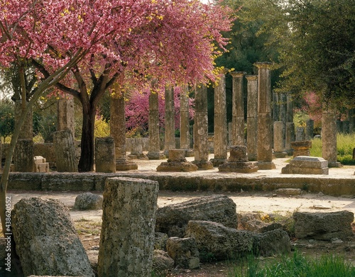 greece, olympia, peloponnese, palestra, training site of athletes with judas trees, 