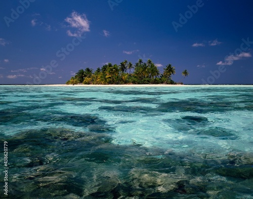 palm island, sea, coral reef, island, palms, reef, water, shallow, sky, blue, ocean, palm beach, palm trees, beach, sandy beach, idyll, idyllic, 