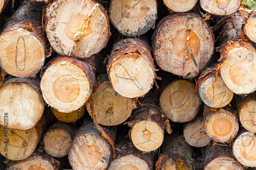 stack of firewood