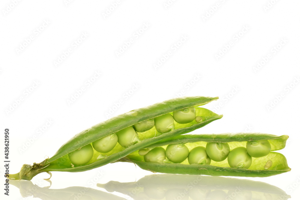 Two ripe organic, green pea pods, close-up, isolated on white. Two ripe organic, green pea pods, close-up, isolated on white.