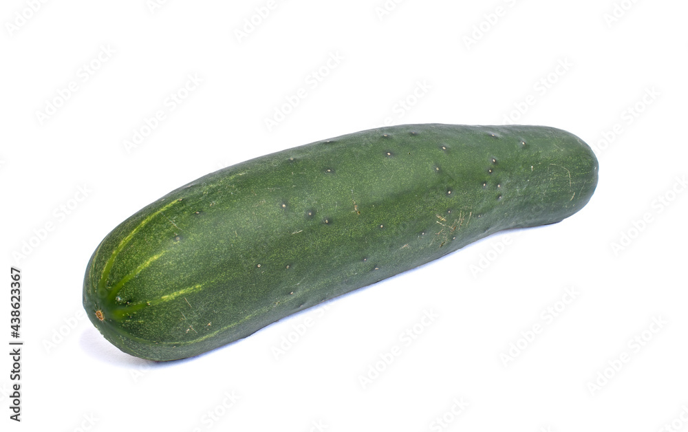 cucumber isolated on white background cucumber isolated on white background