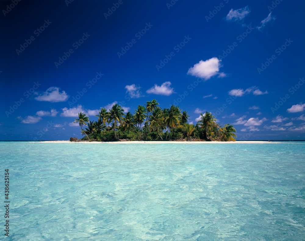 Fototapeta premium maldives, palm island, island, sea, holiday, sky, blue, clouds, palm trees, dream island, holiday island, water, clear, turquoise, holiday motif, dream holiday, indian ocean, maldives island, 