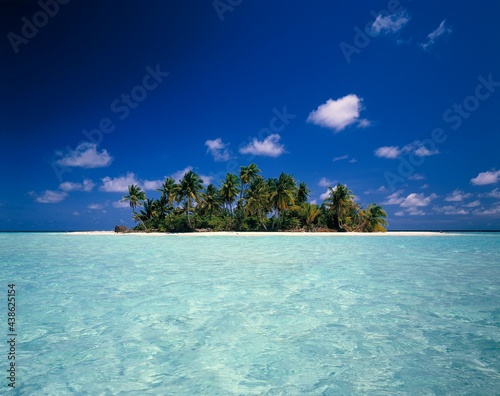maldives, palm island, island, sea, holiday, sky, blue, clouds, palm trees, dream island, holiday island, water, clear, turquoise, holiday motif, dream holiday, indian ocean, maldives island, 