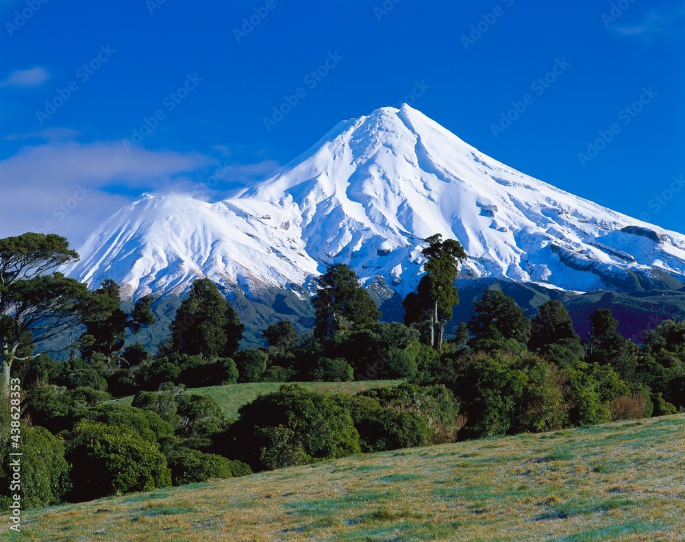 Obraz premium new zealand, egmont national park, landscape, nature, mount taranaki, north island, scenery, mountain, volcanic cone, snowcapped, sight, mountain landscape, volcano, pouakai,