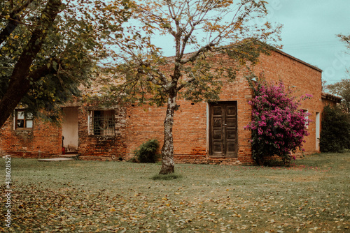 Casa de campo, hecha de ladrillos con una planta de flores rosas y en otoño