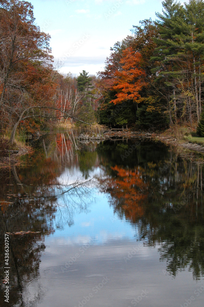 Fall colors reflecting in Ontario creek