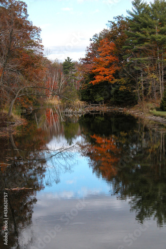 Fall colors reflecting in Ontario creek