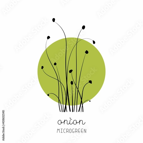 Onion plant on circle background Microgreen sketch vector illustration. Green for home gardening.