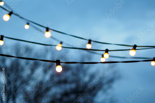 white string lights on tree in front of blue sky