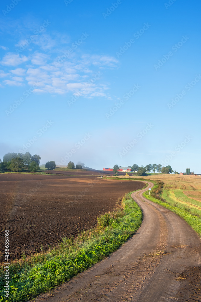 Winding dirt road in a rural landscape