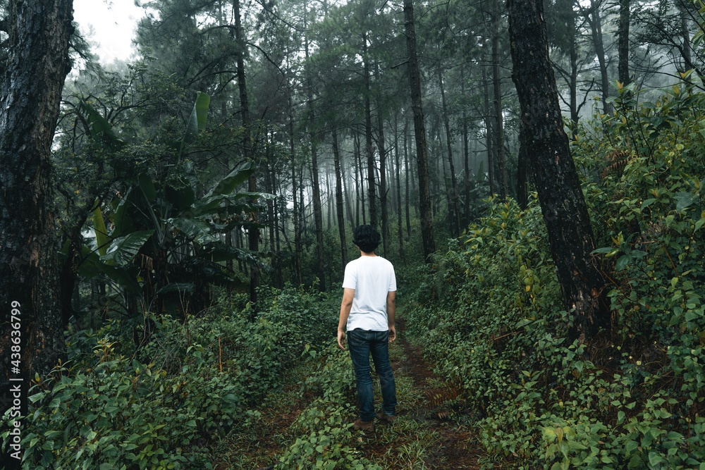 man walking in the forest in the rainy season man walking in the forest in the rainy season