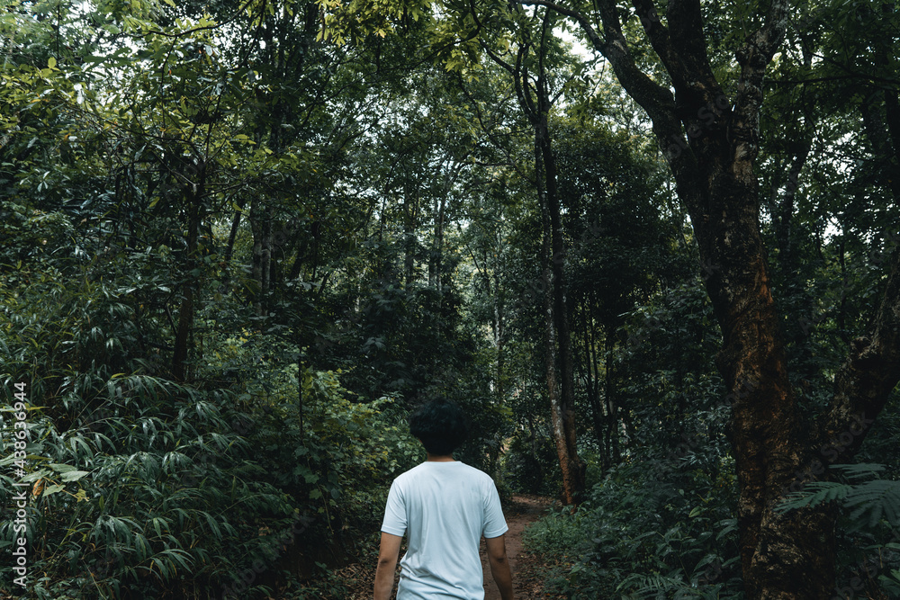 man walking in the forest in the rainy season