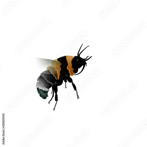 Шмель Bumble-bee