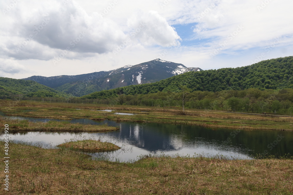 尾瀬/6月。　まだ水芭蕉が咲き残る初夏の尾瀬ヶ原。山、空が写る池。至仏山を移す池塘。