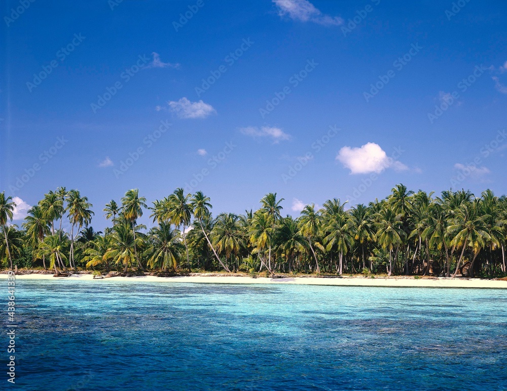 maldives, sea, palm beach, indian ocean, palm island, detail, beach, sandy beach, palms, dream beach, deserted, idyll, landscape, nature, 