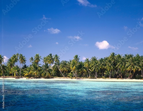 maldives, sea, palm beach, indian ocean, palm island, detail, beach, sandy beach, palms, dream beach, deserted, idyll, landscape, nature,  © VisualEyze