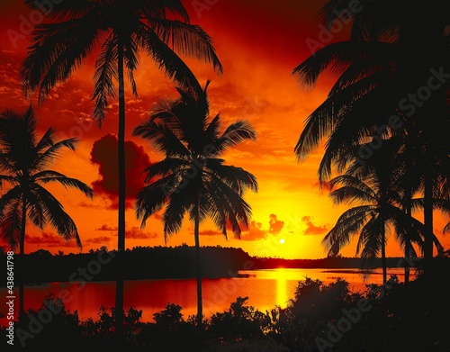 beach, palm trees, sunset, silhouettes, palm beach, sea, evening mood, mood, sky, orange, picturesque, romantic, twilight, atmospheric, calm, tranquillity, evening,  © VisualEyze