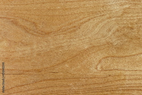 Walnut wooden veneer, nutwood board photo