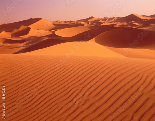 sahara  great western erg  sand dunes  desert  sand  dunes  desert landscape  