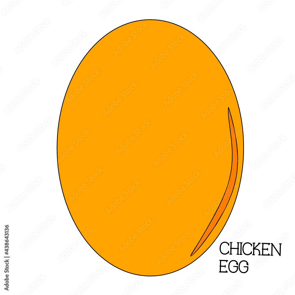 Orange chicken egg on isolated background. Simple and minimalist design.