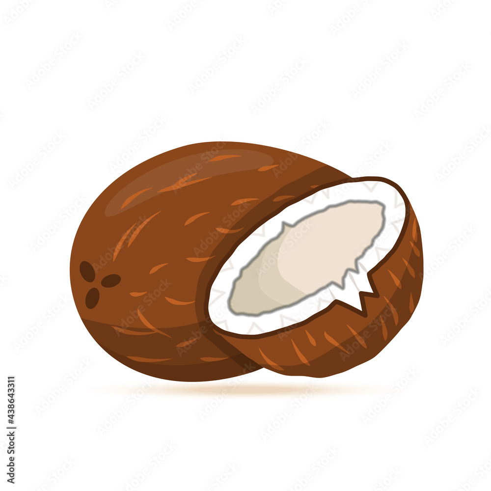 Coconut Fruit Vector Icon. Coconut Flat Illustration. Coconut Fruit Vector Icon. Coconut Flat Illustration.