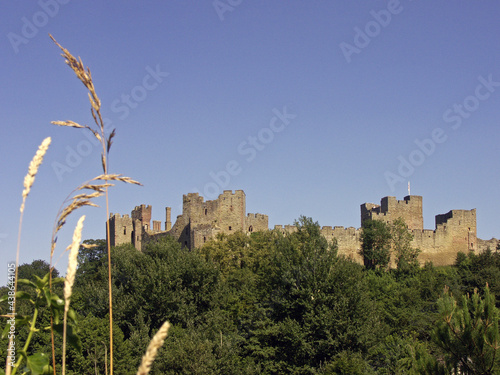 Ludlow's Historic Castle, Shropshire, England, UK  photo