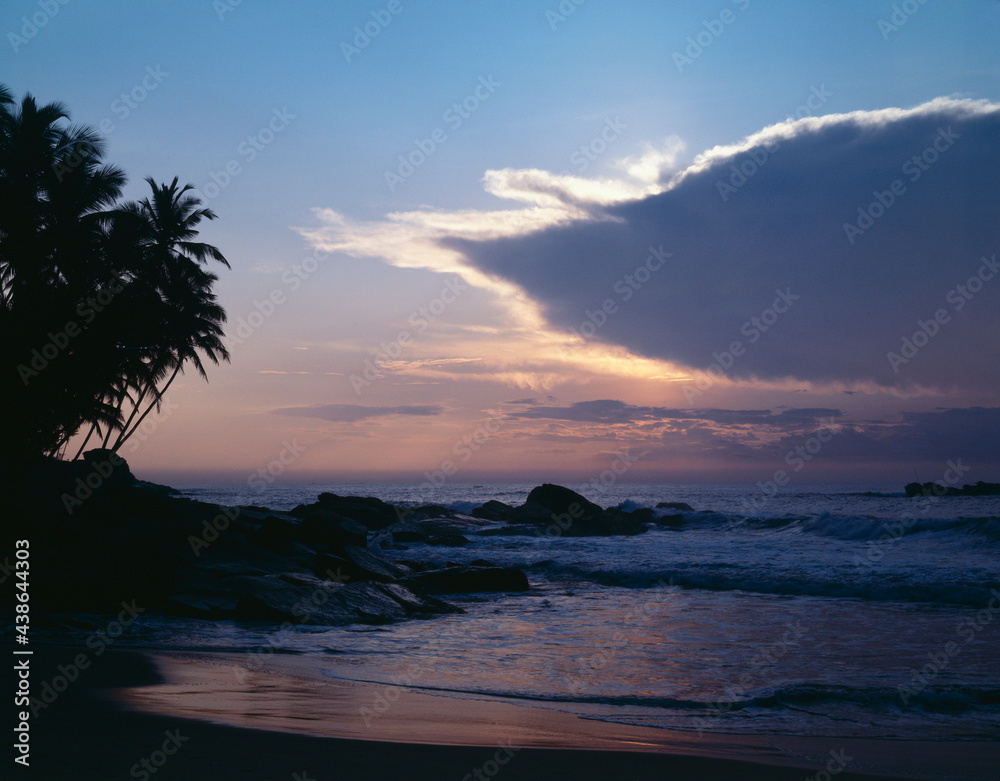 sea, beach, palm trees, morning mood, 