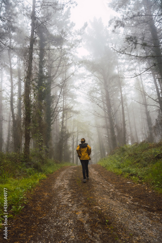 A young girl walking in the yellow jacket in the foggy forest. Spring on the path from Ispaster to Lekeitio, landscapes of bizkaia. Basque Country © unai