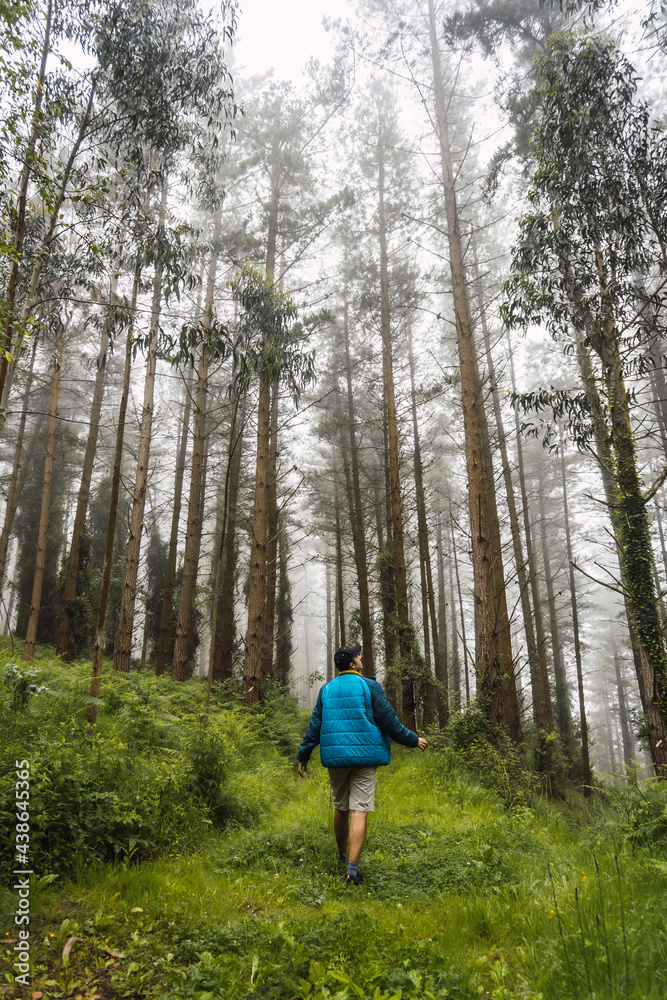 A young man walking in the blue jacket in the foggy forest. Spring on the path from Ispaster to Lekeitio, landscapes of bizkaia. Basque Country A young man walking in the blue jacket in the foggy forest. Spring on the path from Ispaster to Lekeitio, landscapes of bizkaia. Basque Country