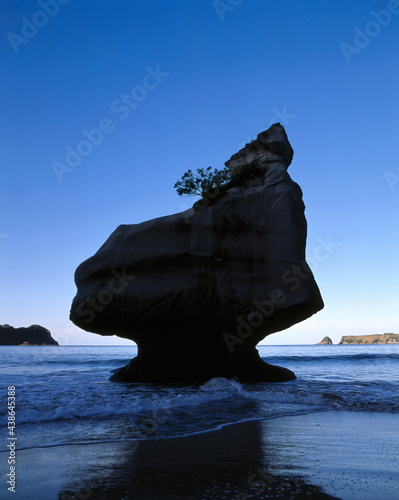 Fototapeta new zealand, coromandel peninsula, cathedral cove, tufa rocks in the sea,